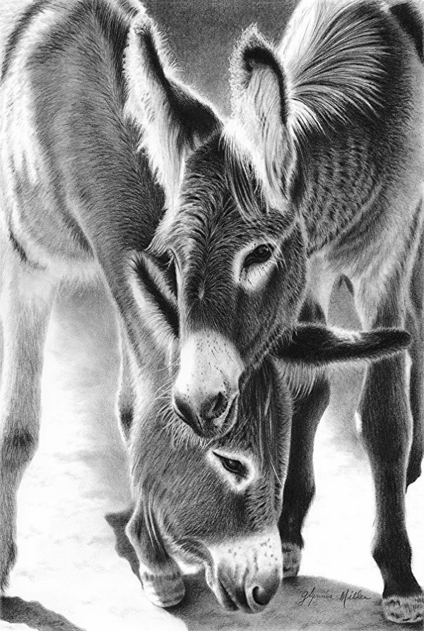 Amazing Pencil Drawings Easy